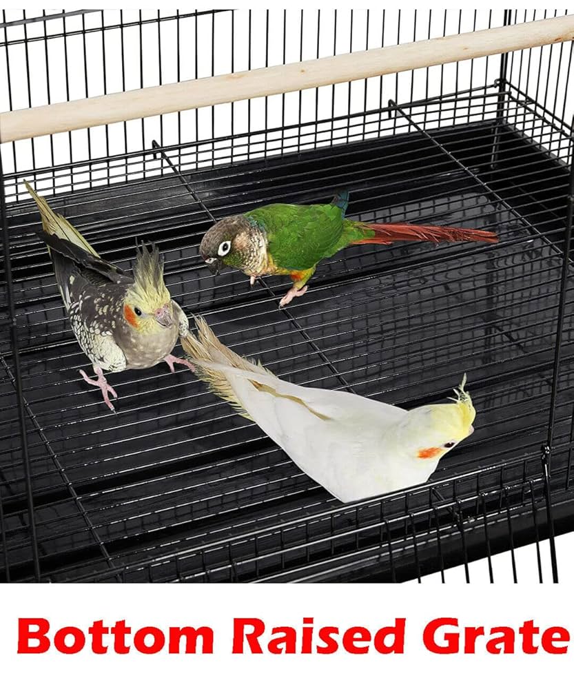 DISEASES OF CAGE AND AVIARY BIRDS レア本 DISEASES OF CAGE AND AVIARY BIRDS レア本